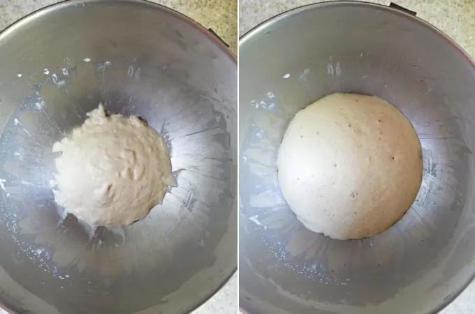 before and after photos of a bread sponge rising