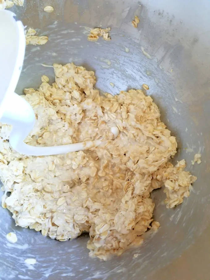 closeup shot of bread sponge with rolled oats mixed in
