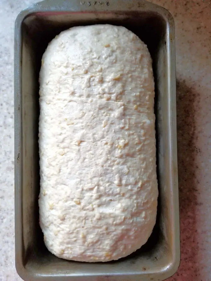 an unbaked loaf of oatmeal bread in a pan