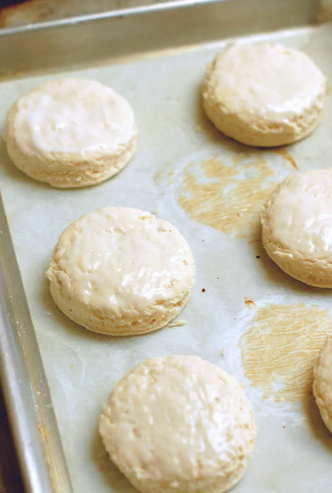 a tray of unbaked sourdough biscuits.