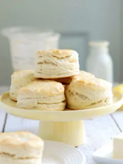 A plate stacked with sourdough biscuits