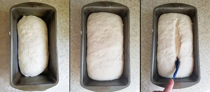 three images showing a sourdough sandwich loaf before and after rising and how to slash the top of the loaf