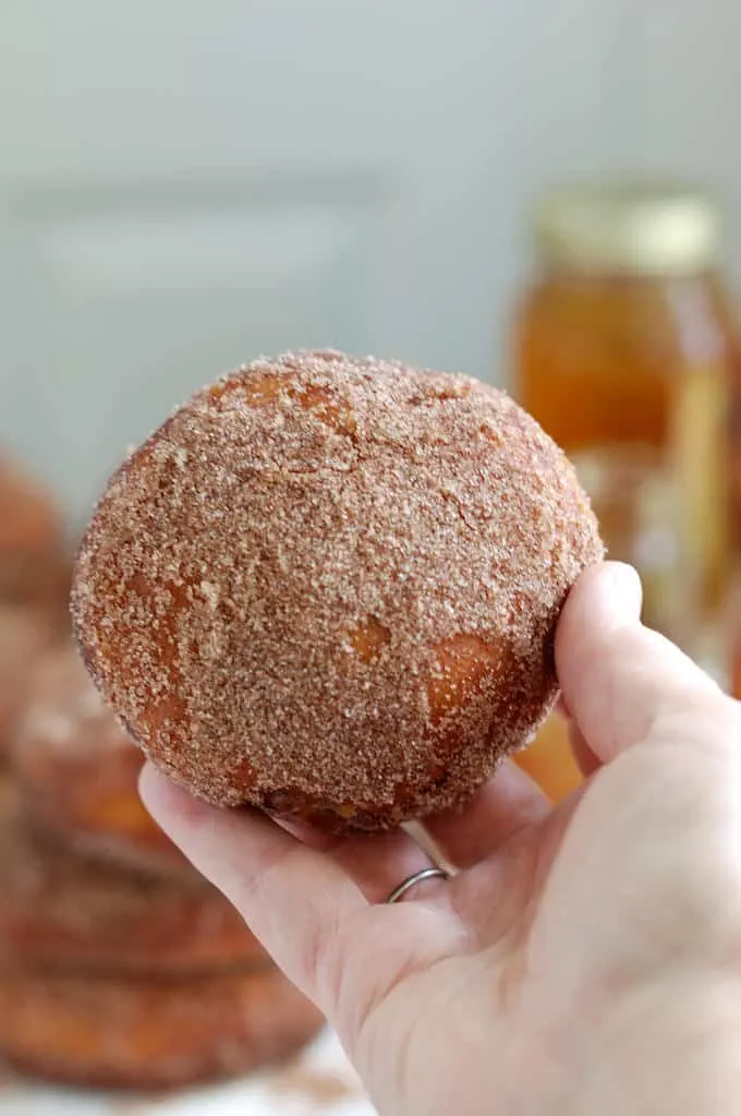 a hand holding a sugar coated apple filled cider donut