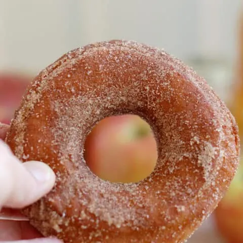 a hand holding an apple cider donut