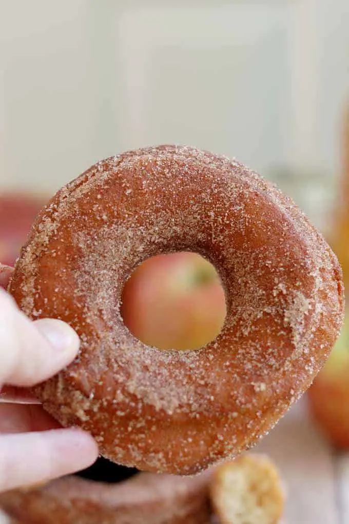 a hand holding an apple cider donut