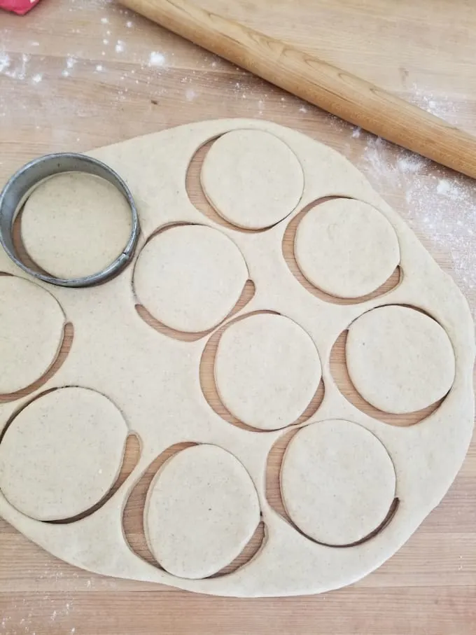 a sheet of dough with circles cut