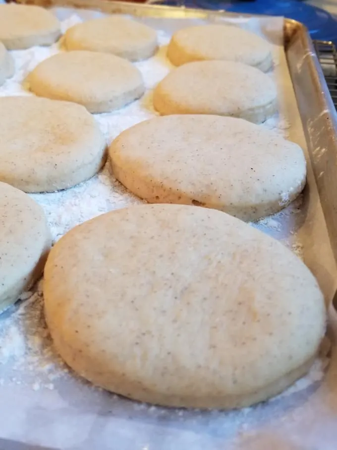 a tray of dough rounds, rising
