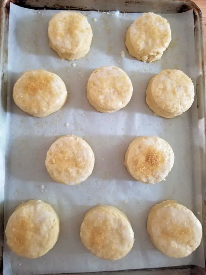 a tray of unbaked sourdough scones
