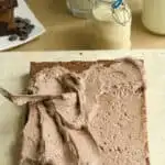 a pinterest image for malted chocolate frosting recipe
