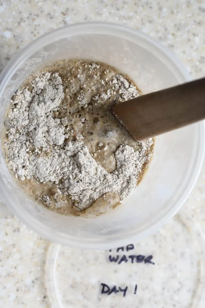 a spatula stirring a freshly made sourdough starter.