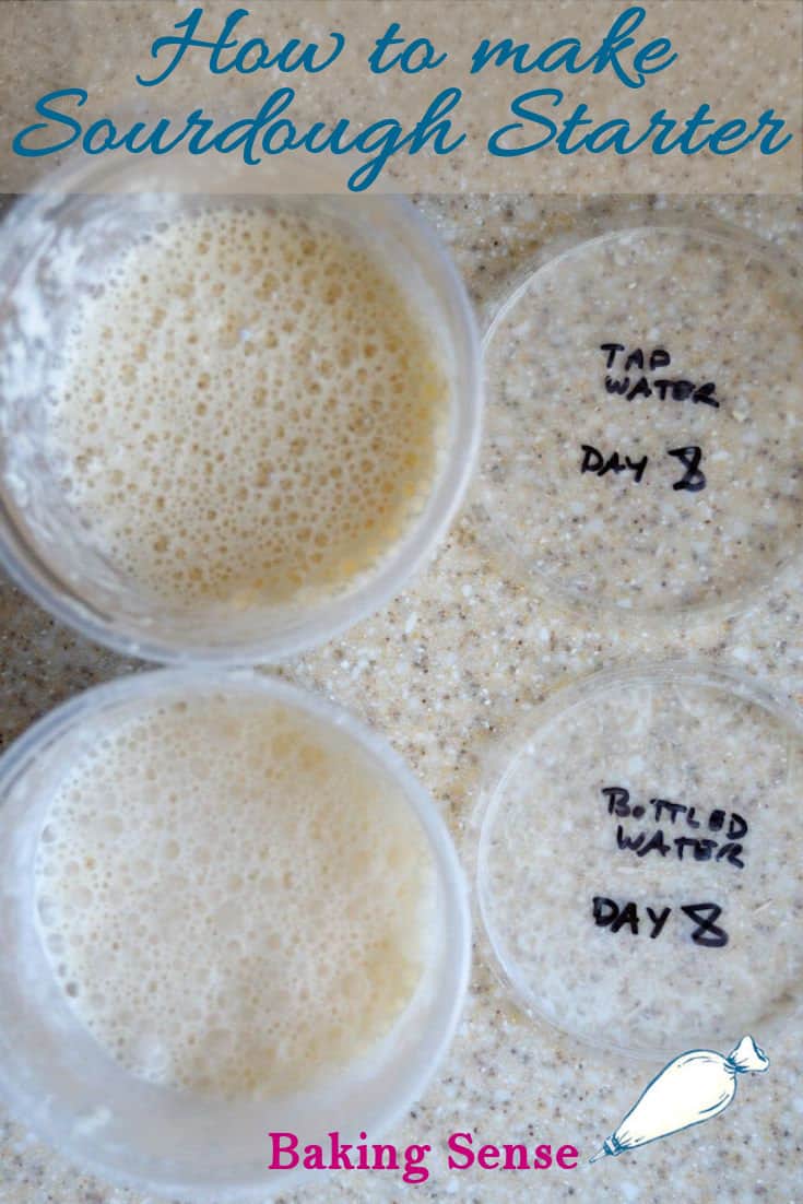 how-to-make-sourdough-starter-with-less-flour-baking-sense