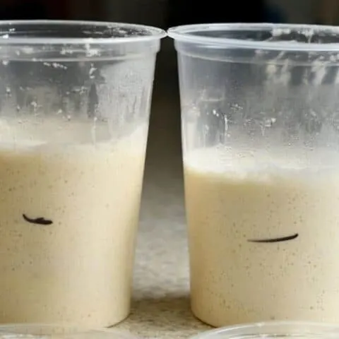 How to Feed Sourdough Starter