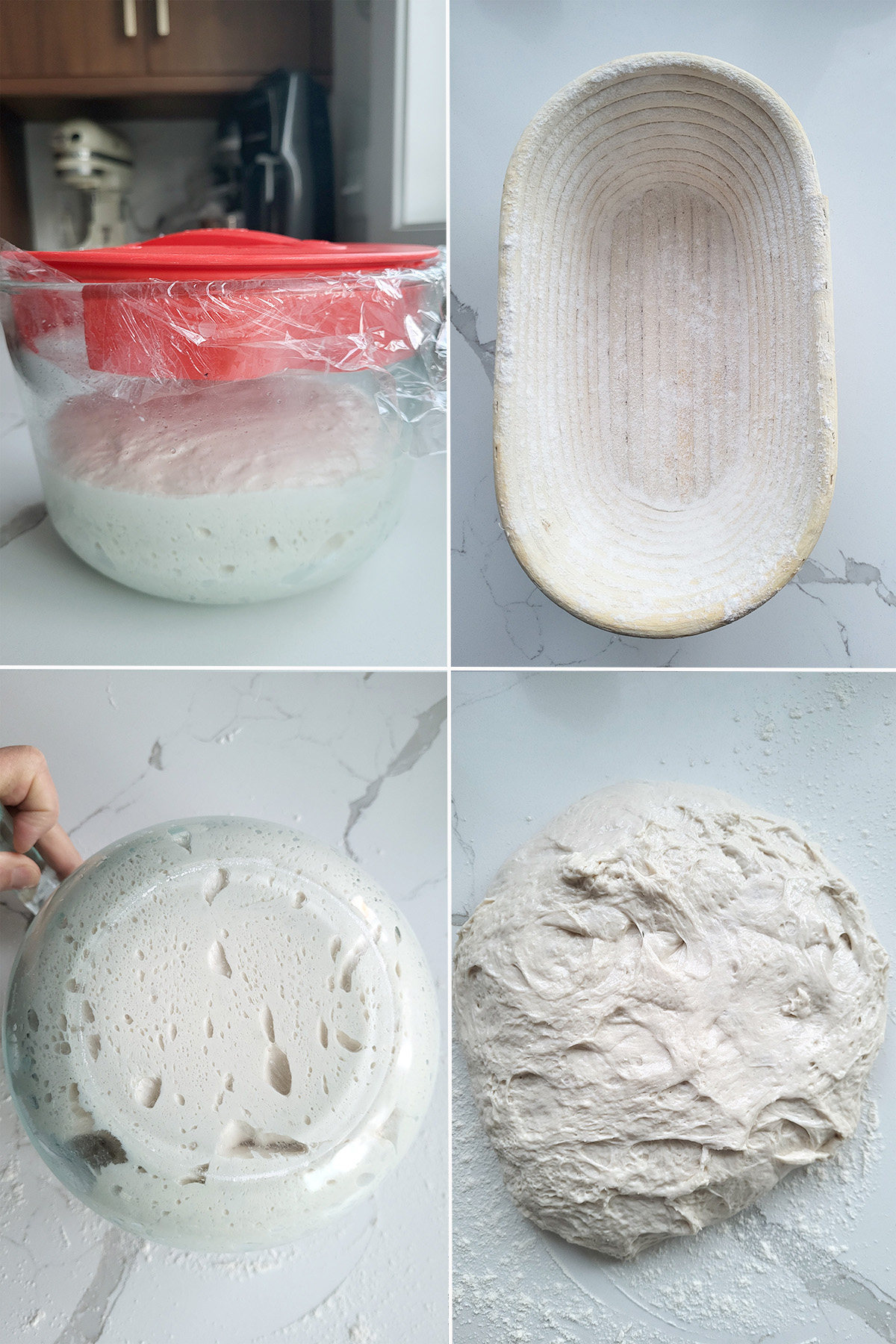 sourdough in a glass bowl and on a white surface.