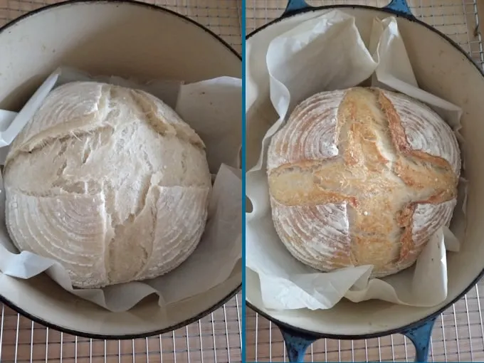 sourdough loaves baking in a dutch oven, after 20 minutes and after 40 minutes