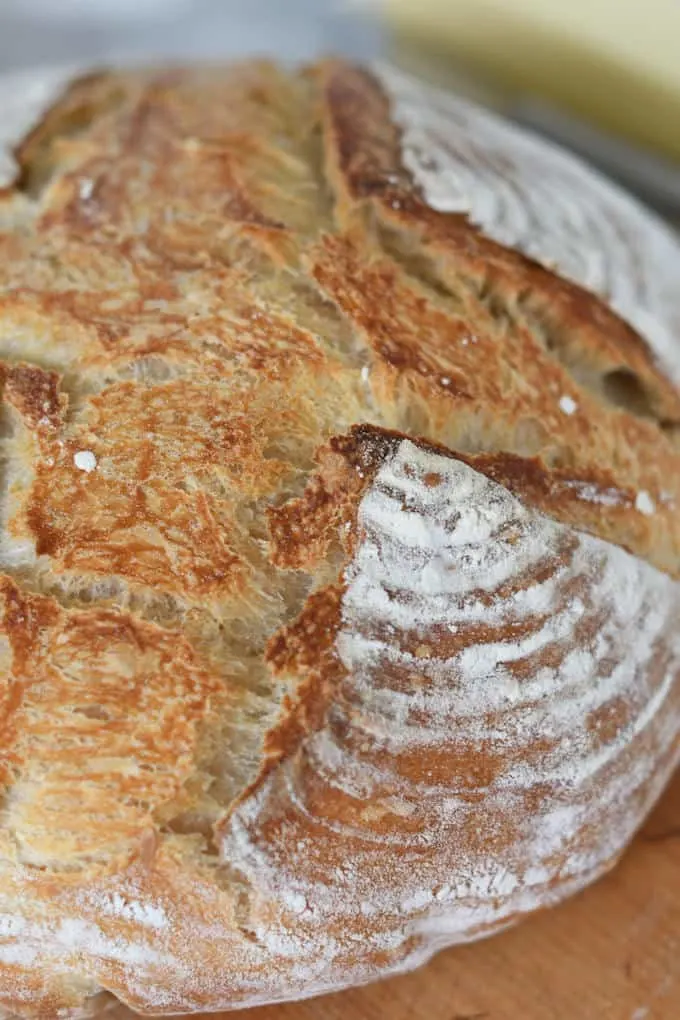 a closeup shot of the crust of a sourdough bread