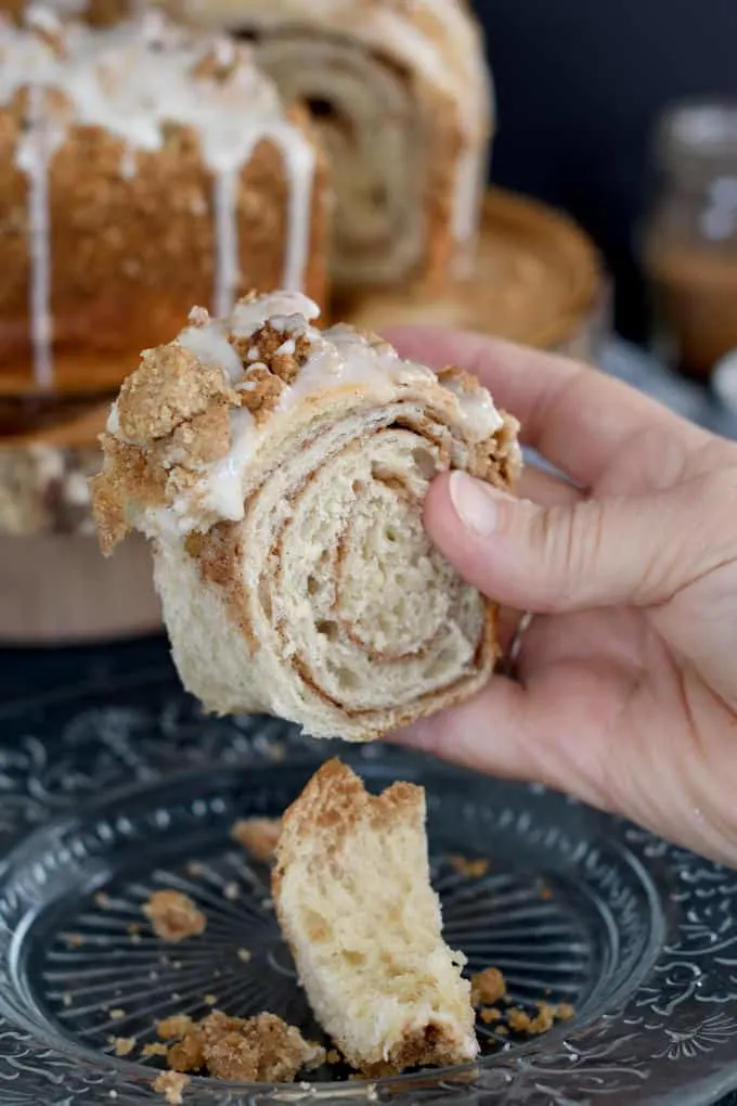 a hand holding a piece of sourdough coffee cake