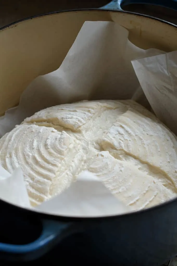 a loaf of risen bread dough in a dutch oven