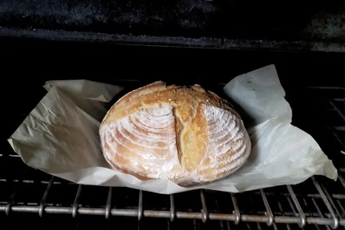 a loaf of sourdough bread on a sheet of parchment paper baking directly on the oven rack