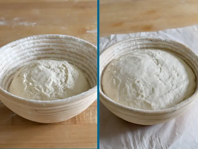 sourdough before and after rising in a bread basket