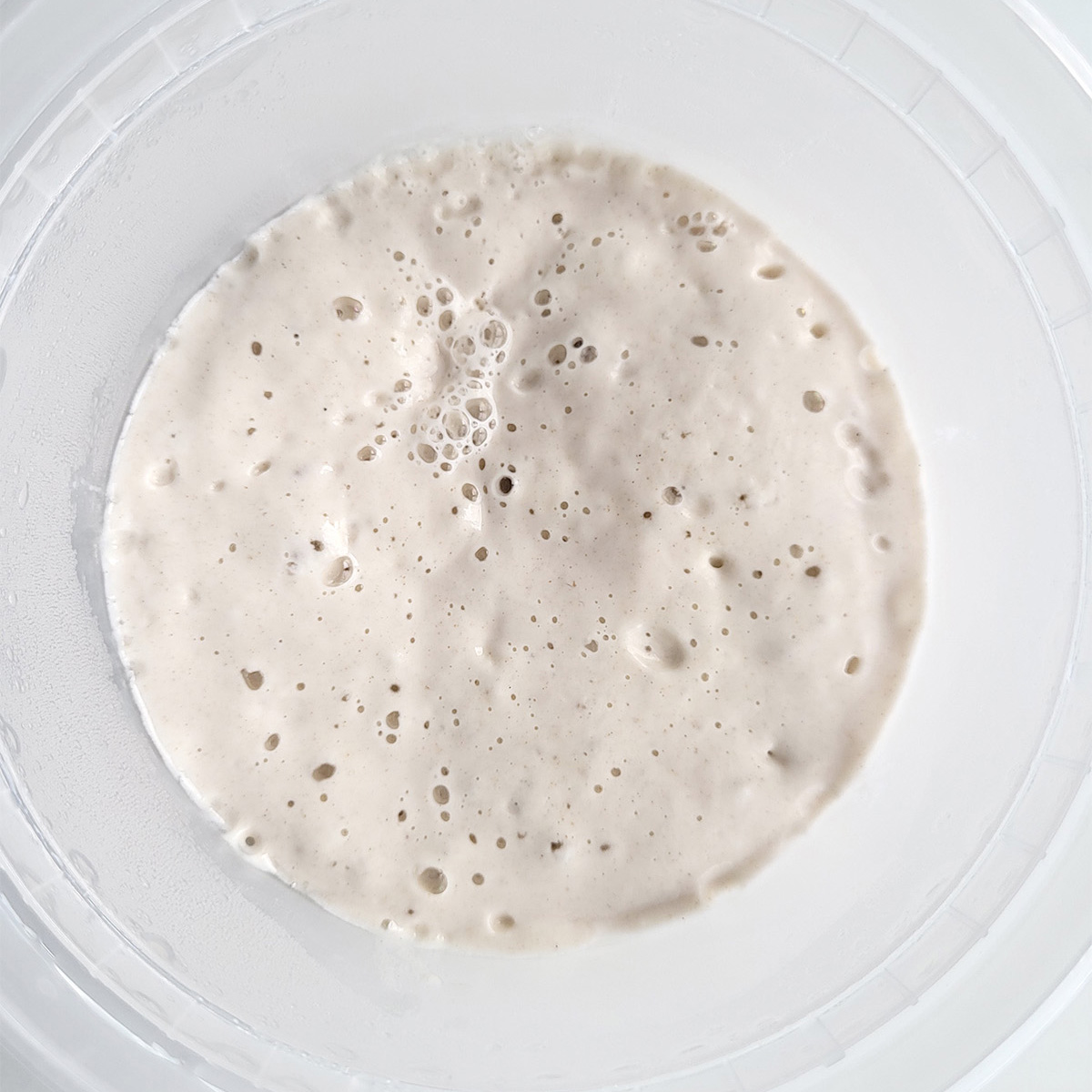 a bowl of active sourdough starter.