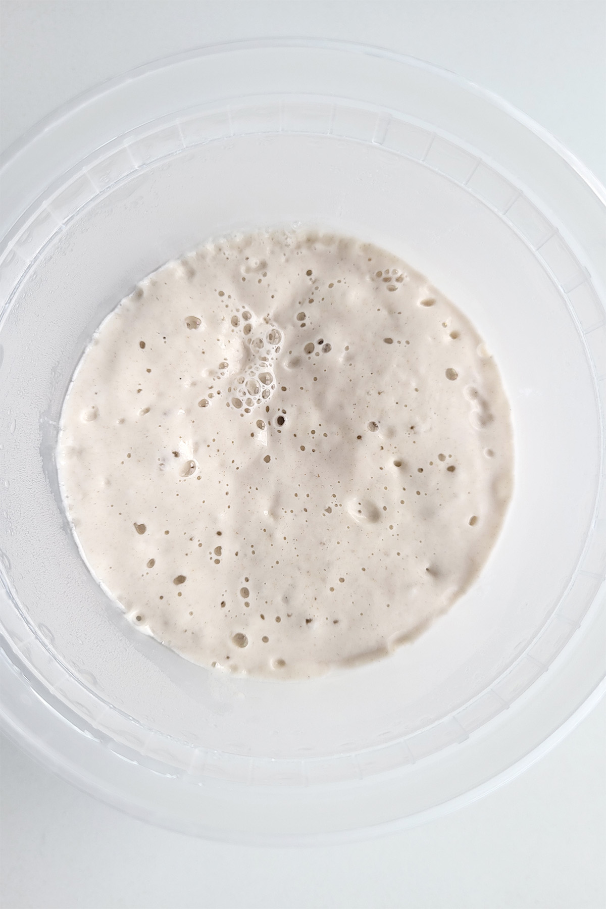 a bowl of active sourdough starter.