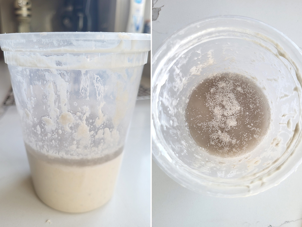 a plastic container with sourdough starter with hooch.