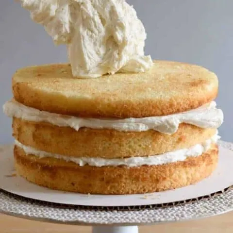 a vanilla cake with a scoop of vanilla buttercream