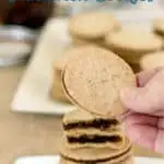 a pinterest image for chocolate hazelnut sandwich cookies