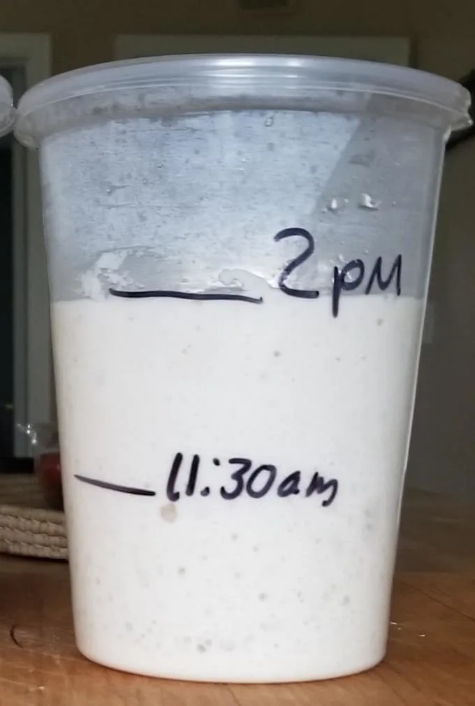 How to keep a Small Sourdough Starter