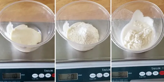 three photos showing how to feed a small starter