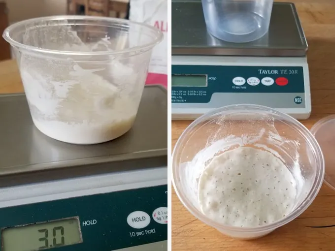 a 3 oz starter right after feeding and after 24 hours