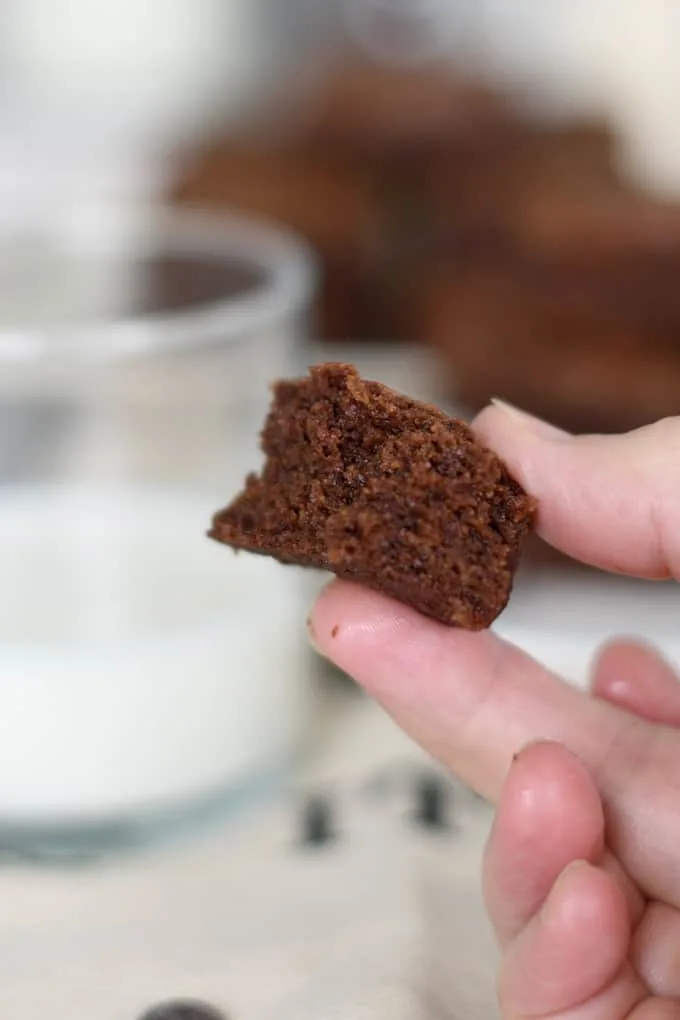 a hand holding a bite of a sourdough brownie