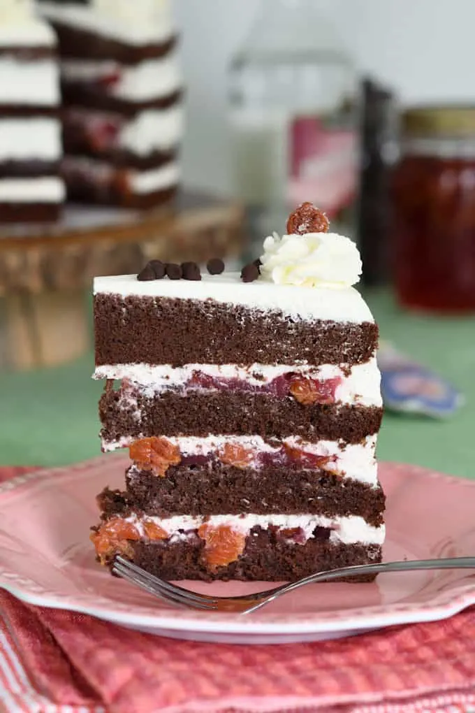 a slice of black forest cake on a pink plate