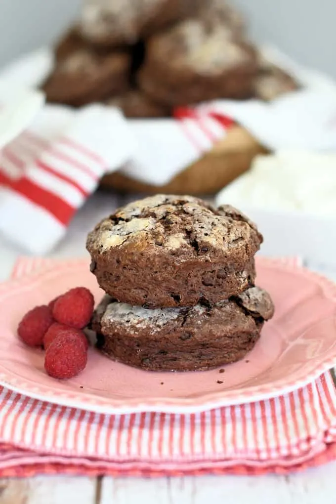 two chocolate shortcakes on a pink plate