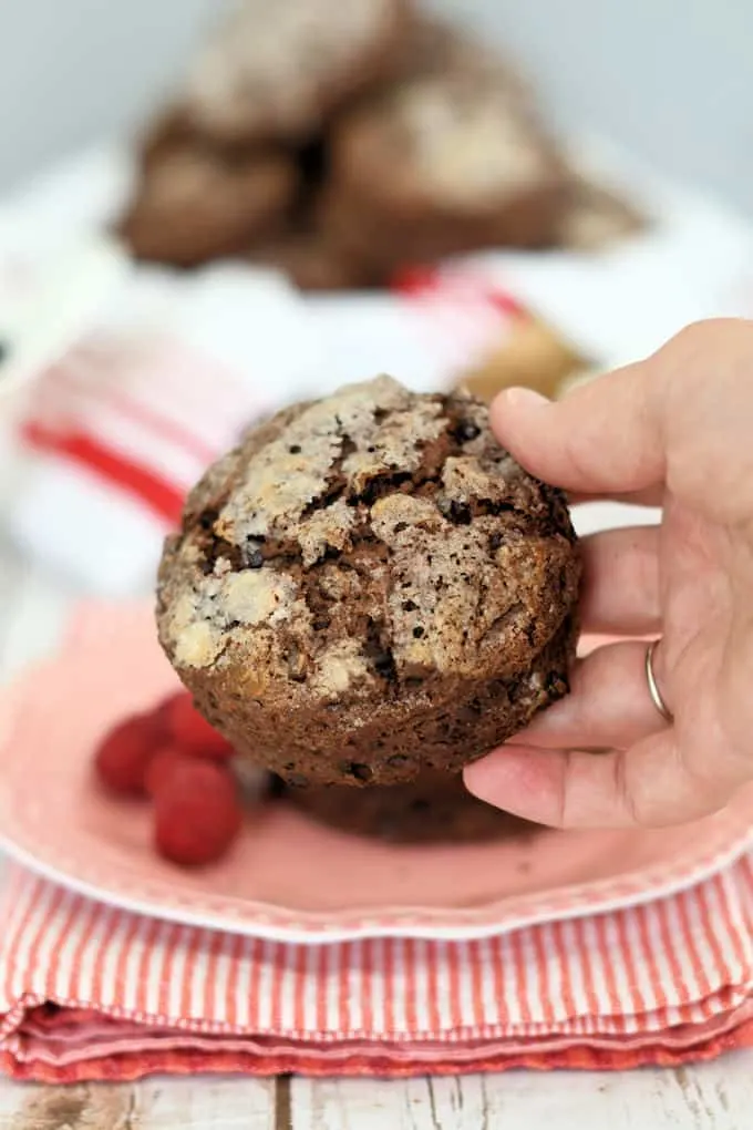 a hand holding a chocolate biscuit