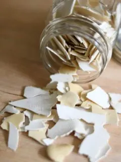 dried starter chips spilled from a jar