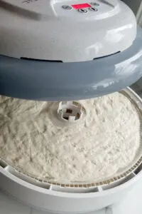 show a food dehydrator with a tray of sourdough starter inside