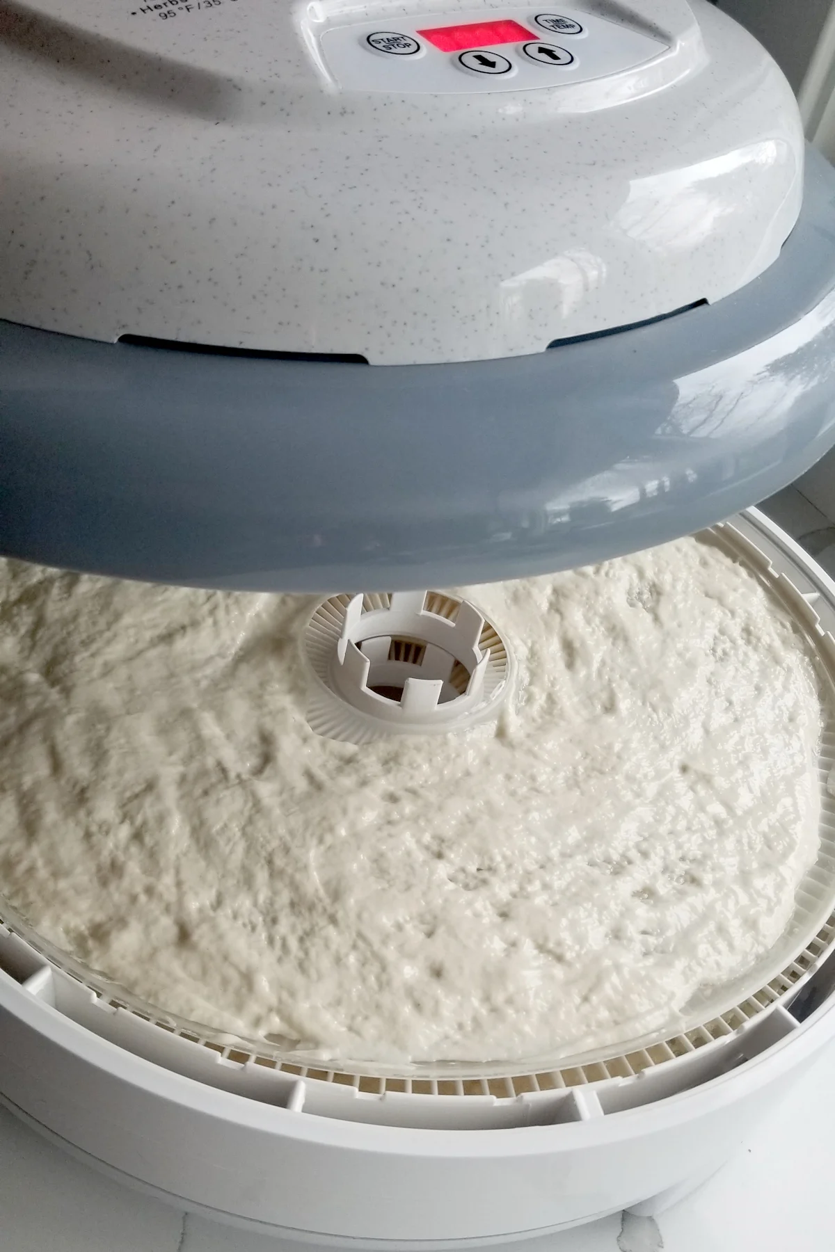 show a food dehydrator with a tray of sourdough starter inside