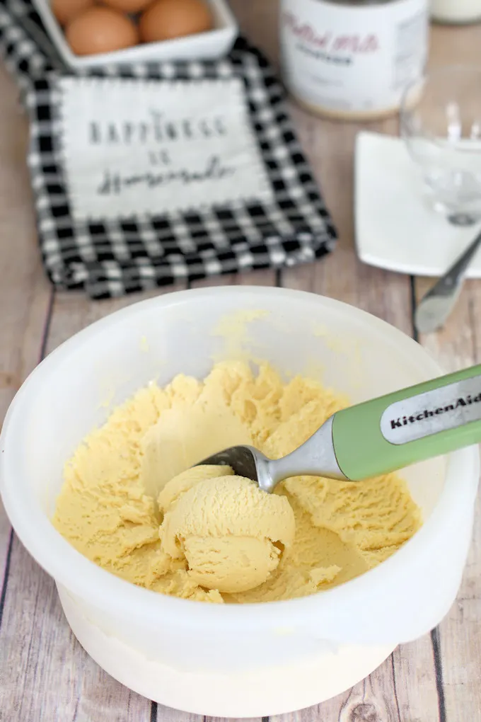 a container of homemade ice cream with a scoop.