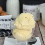 a bowl of malted milk ice cream