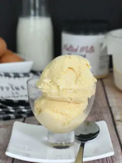 a bowl of malted milk ice cream