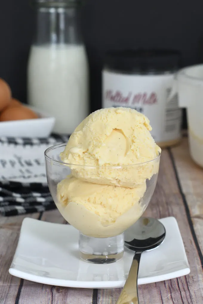 Malted Milk Ice Cream