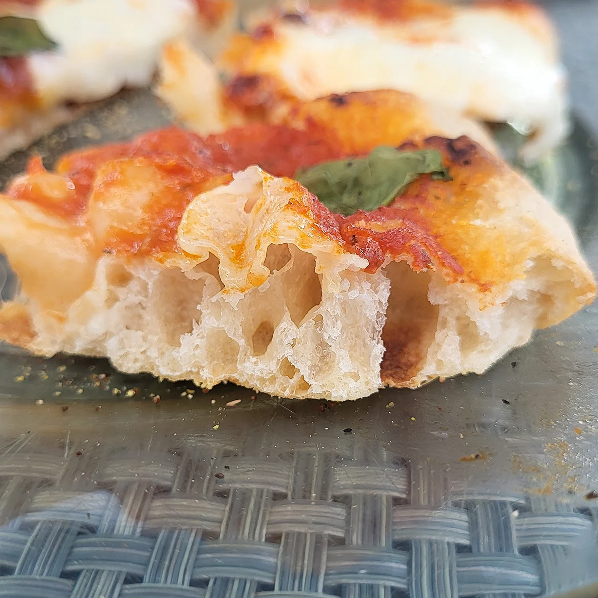 Sourdough Pizza Crust