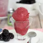 a glass bowl with two scoops of blackberry sorbet