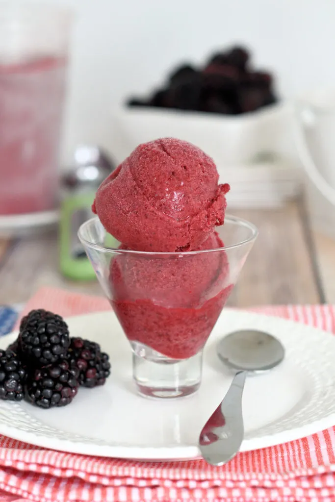 a glass bowl filled with two scoops of blackberry sorbet. Fresh berries are next to the bowl.