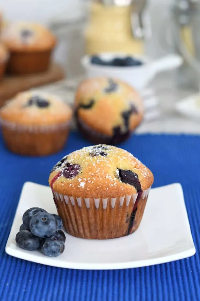 a blueberry cornbread muffin on a white plate