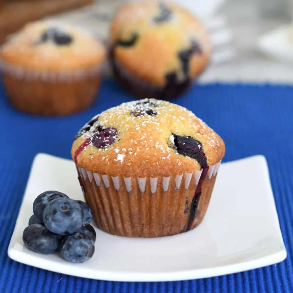 a blueberry cornbread muffin on a white plate