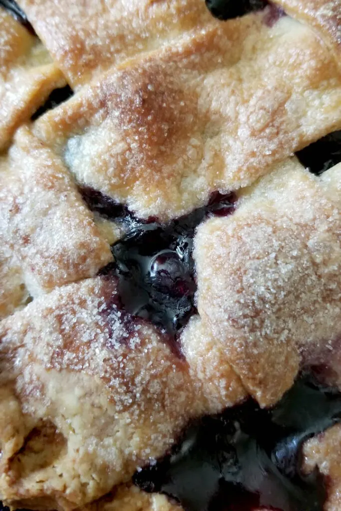 a closeup shot of blueberry pie filling bubbling hot from the oven