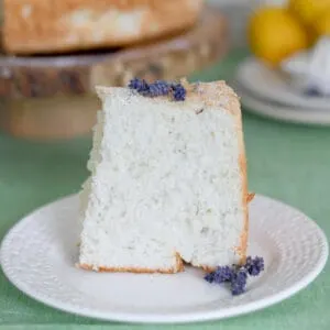 a slice of angel food cake on a plate