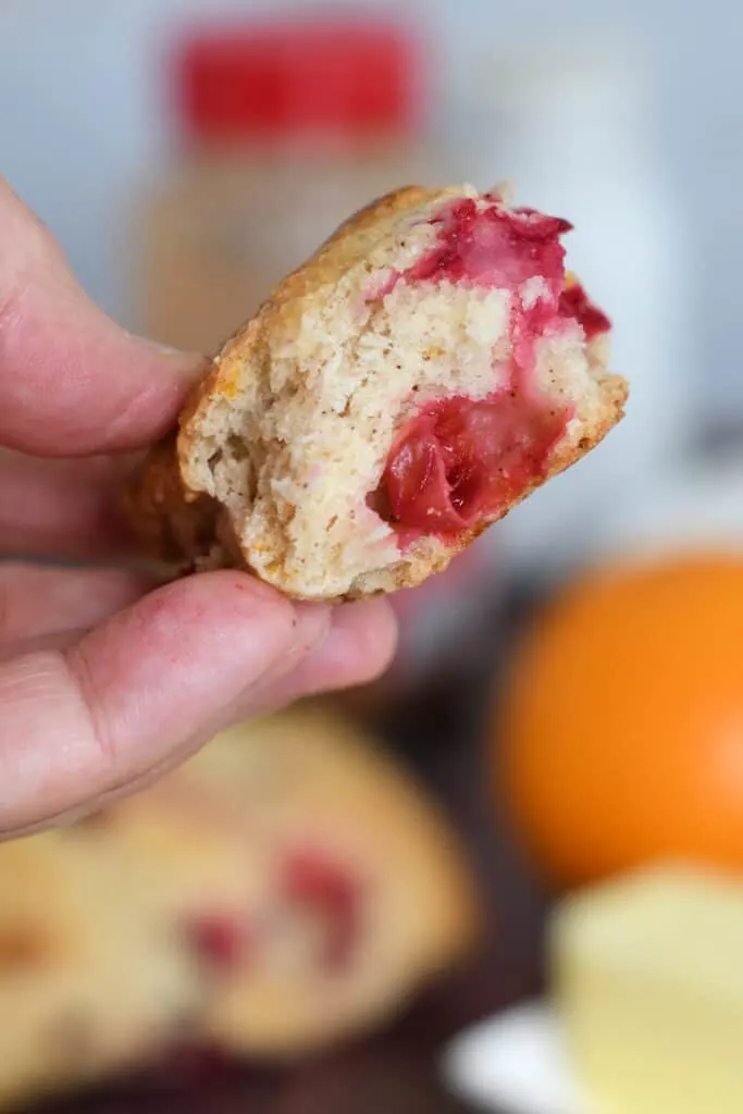 a hand holding a bite of a cranberry orange scone